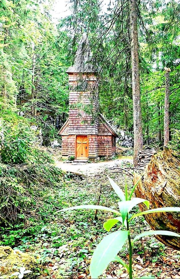 Tauglerei Appartement Bernstein In Den Zauberbergen Sankt Koloman Buitenkant foto
