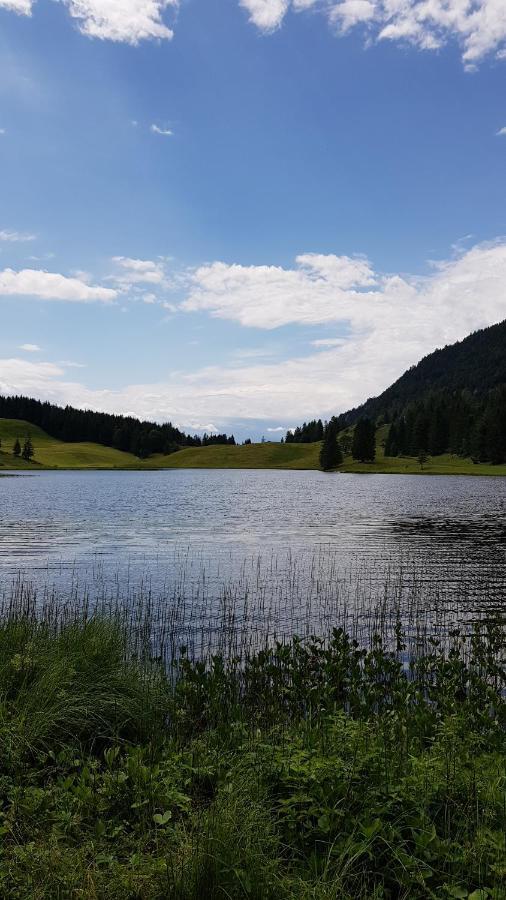 Tauglerei Appartement Bernstein In Den Zauberbergen Sankt Koloman Buitenkant foto